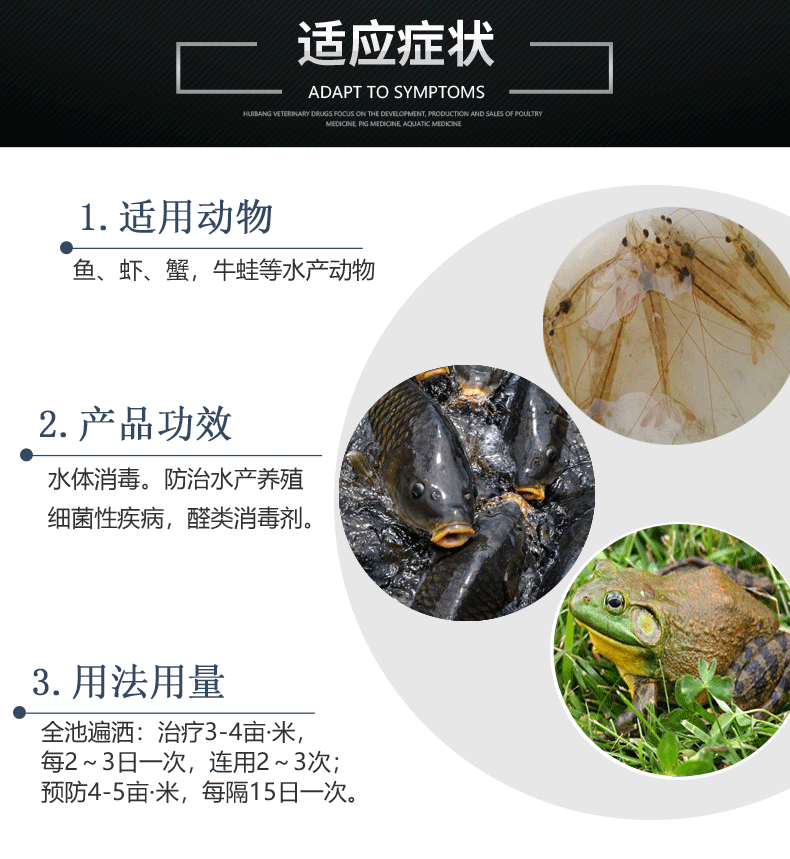 动物-详情页-浓戊二醛1L.png