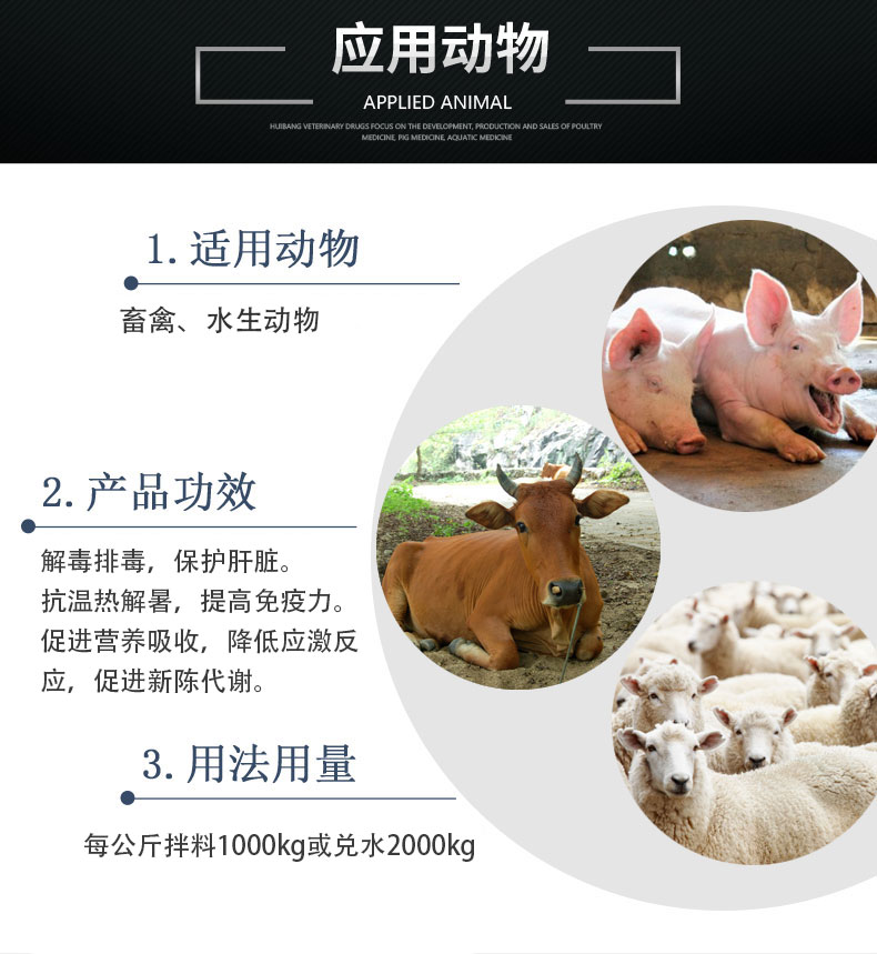 高能应激VG应用动物状猪牛羊.jpg