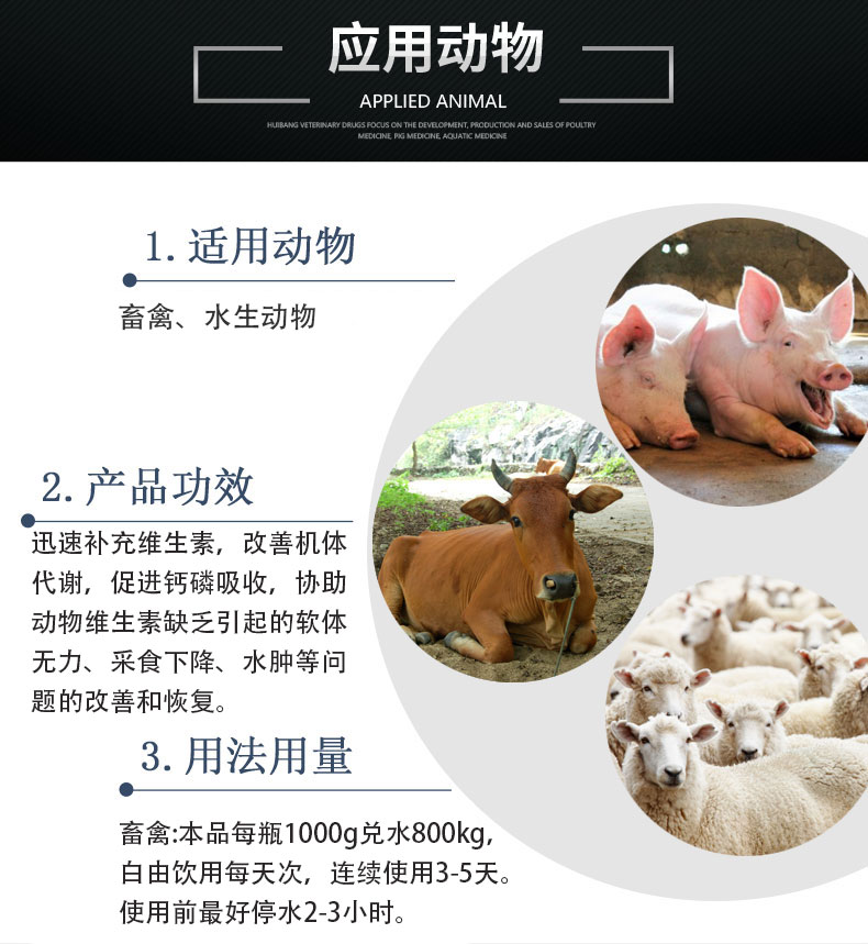 应用动物状猪牛羊.jpg